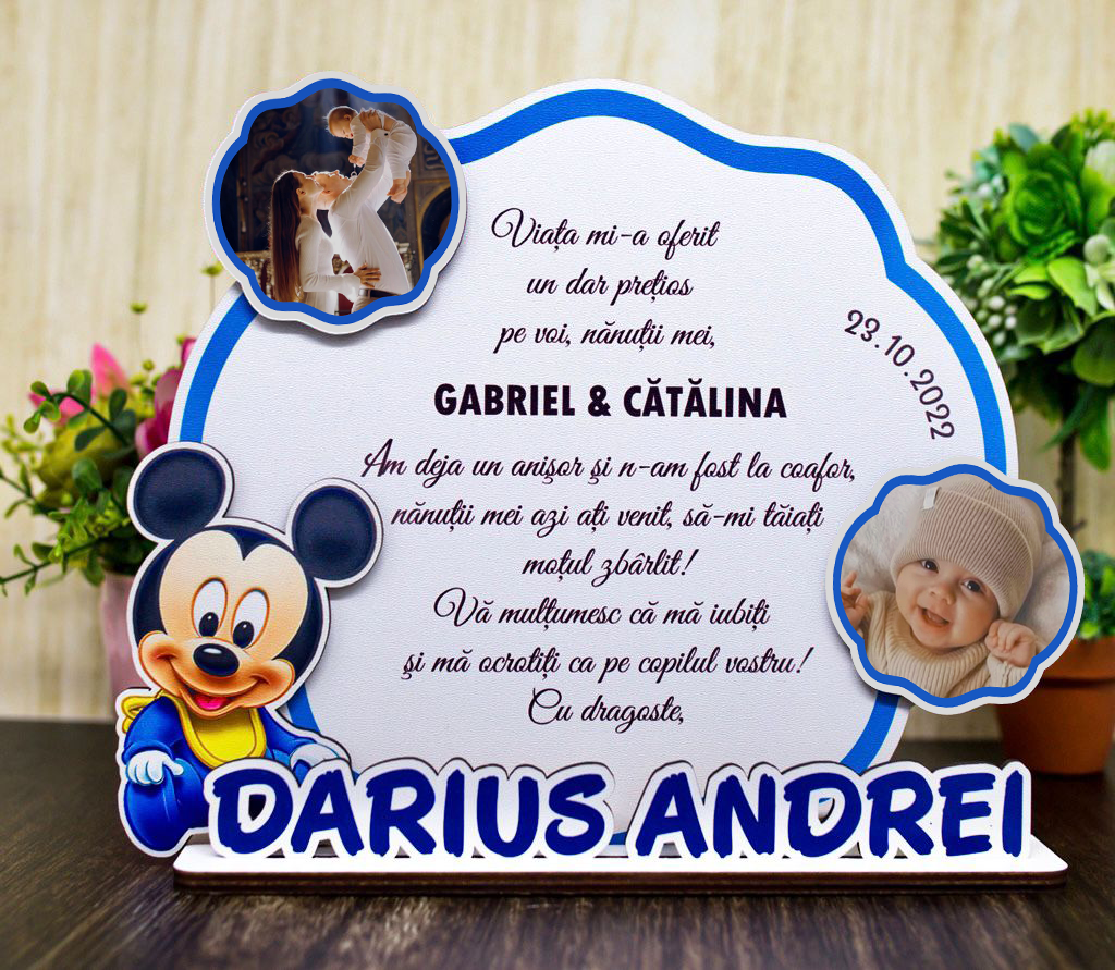 Trofeu Naşi/Moşi - Şoricelul Mickey