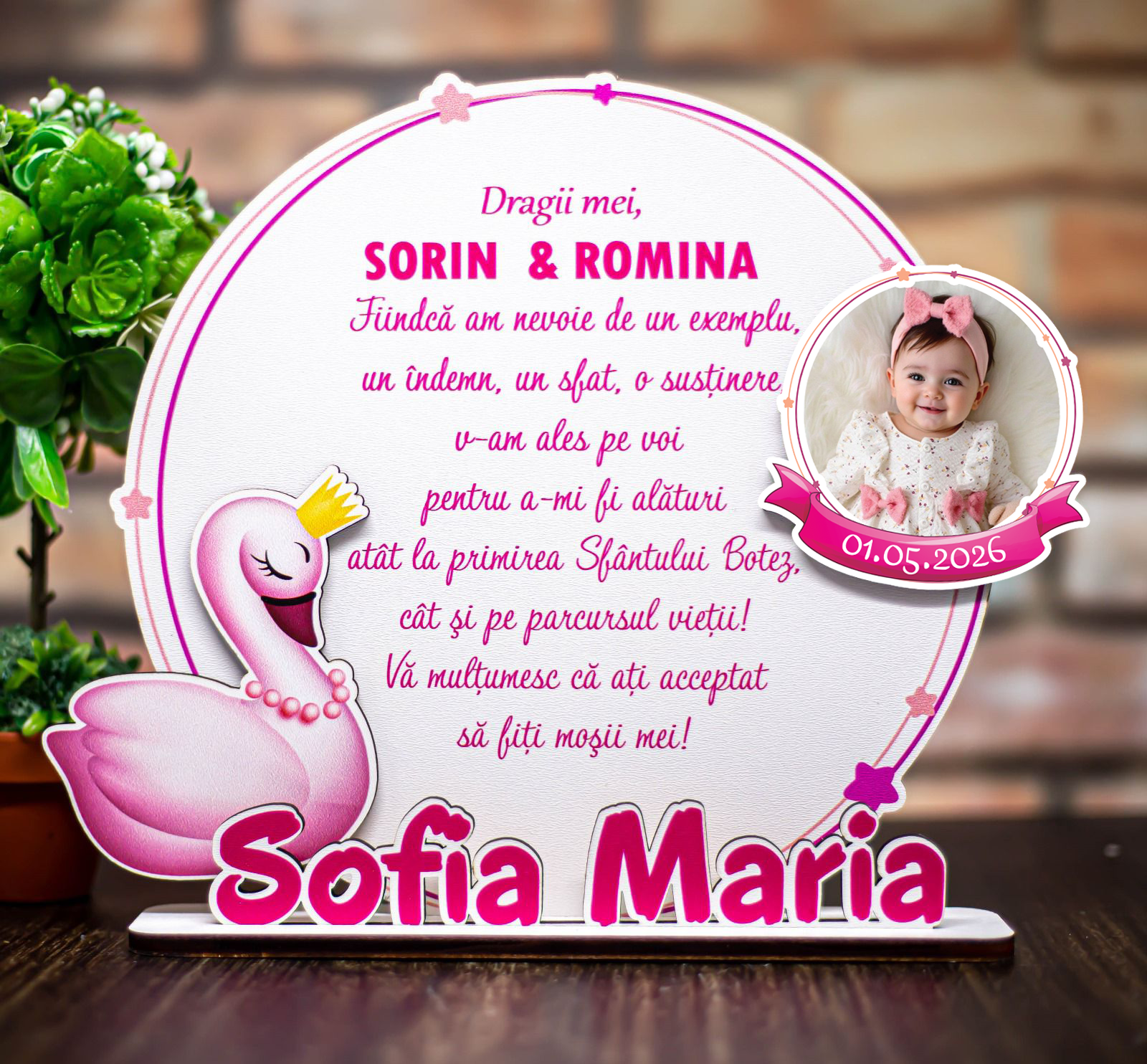 Trofeu Naşi/Moşi - Lebăda Regală