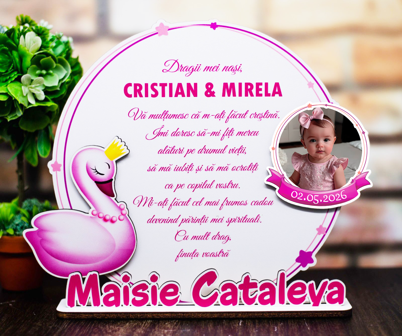 Trofeu Naşi/Moşi - Lebăda Regală